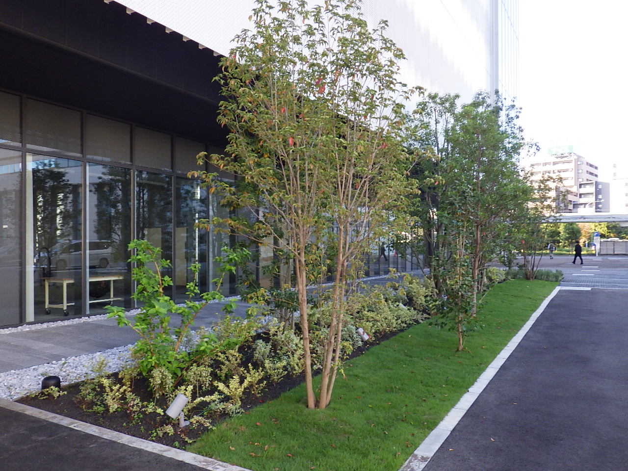 JVCケンウッド横浜市C棟新築に伴う植栽工事